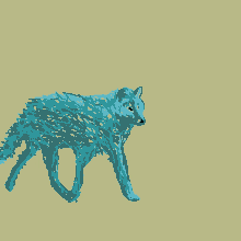 Wolf Stepping GIF - Wolf Stepping GIFs