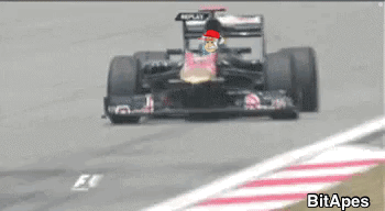 bitape-bitapes.gif