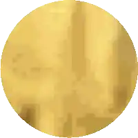a pixelated image of a gold colored circle