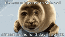 Seal Sad GIF - Seal Sad Meme GIFs