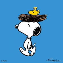 a cartoon of snoopy and woodstock with a bird in a nest on his head