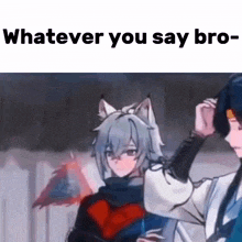 a couple of anime characters standing next to each other with the words `` whatever you say bro '' on the bottom .