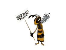 here bee