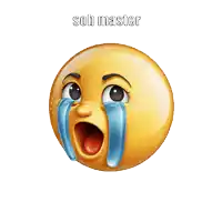 a yellow smiley face with tears coming out of its eyes and sob master written below it