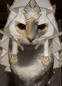 a cat wearing a white hat with a gold triangle on it