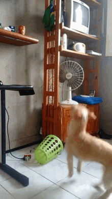 a fan is on a shelf next to a tv