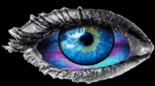 Eye Psychedelic GIF - Eye Psychedelic GIFs