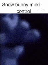 a picture of a snow bunny mind control with a black background .