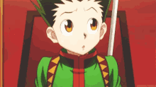 hx h hunter x hunter gon confused what