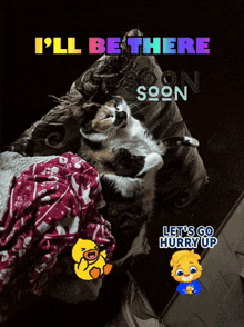 a cat is laying on a couch with the words " i 'll be there soon soon "