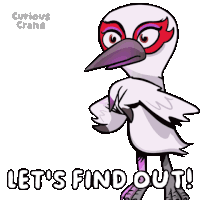 a cartoon bird says let 's find out !