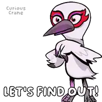a cartoon bird says let 's find out !