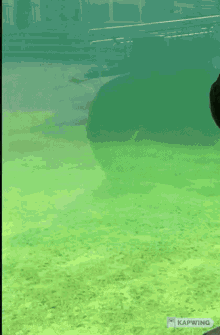 GIF