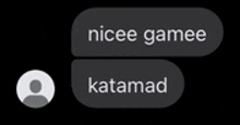 a screenshot of a text message between two people .