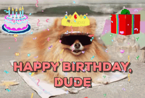 Cute Dog GIF - Cute Dog Happy Birthday - Discover & Share GIFs