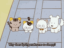 Tama And Friends Spring GIF - Tama And Friends Spring GIFs