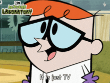 It Is Just Tv Dexter GIF - It Is Just Tv Dexter Dexter'S Laboratory GIFs