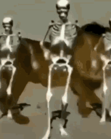 a group of skeletons are riding on the backs of a cow .
