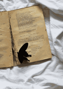 Book Black Butterfly GIF - Book Black Butterfly GIFs