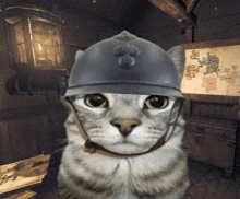 a cat wearing a helmet with a flower on top