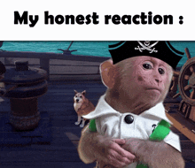 My Honest Reaction Monkey GIF - My Honest Reaction Monkey Pirate Monkey GIFs