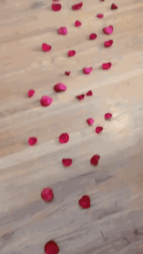 a row of red rose petals on the floor in front of a bed