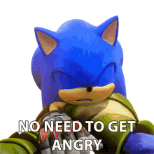no need to get angry sonic the hedgehog sonic prime there is no reason to become enraged try to relax
