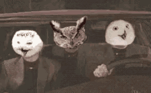 Hey Owl GIF - Hey Owl Dance GIFs