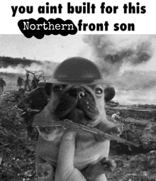 a black and white photo of a dog wearing a helmet and holding a rifle