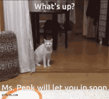 Ms Penk Will Let You In Soon GIF - Ms Penk Will Let You In Soon Whats Up GIFs