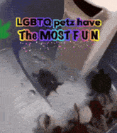 lgbtq petz have the most fun written on a picture of animals