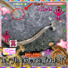 a picture of a worm with the words " it 's flatworm friday "