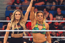 two women in a wrestling ring with the word nwo on the bottom