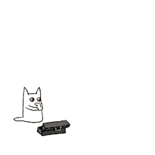 character cat