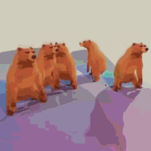 Dancing Bears GIFs | Tenor