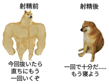 a picture of a dog with muscles and a picture of a dog with no muscles