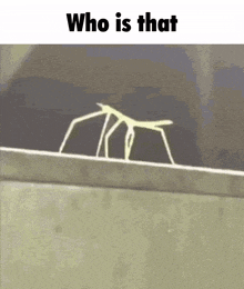 a stick insect is walking across a ledge with the words `` who is that '' written above it .