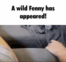 Fenny Fennec GIF - Fenny Fennec Appear GIFs