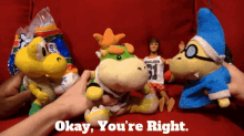 Sml Bowser Junior GIF - Sml Bowser Junior Okay Youre Right GIFs