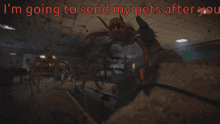 a spider in a room with the words i 'm going to send my pets after you above it