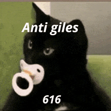 Anti Giles - Anti Nulos - Anti Megeros GIF
