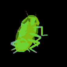 a green bug on a black background with a few white spots