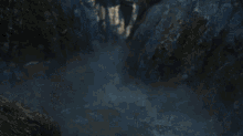 A Bird Flying Along The Valley The Witcher GIF - A Bird Flying Along The Valley The Witcher Beautiful World Of The Witcher GIFs
