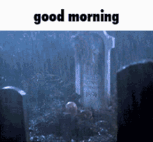 Good Morning Rising GIF - Good Morning Rising Waking Up GIFs