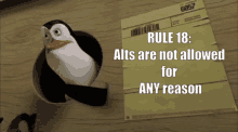 rule18 crispy rule18 no alt accounts no alts