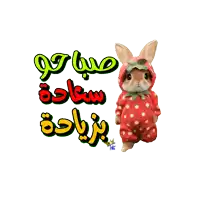 a stuffed bunny in a strawberry outfit with arabic writing