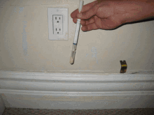 Mold Inspections Los Angeles GIF