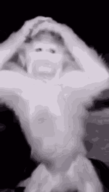Monkey Facepalm GIF - Monkey Facepalm Stressed GIFs