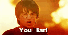 Harry Potter Daniel Radcliffe GIF - Harry Potter Daniel Radcliffe Liar GIFs