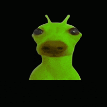a close up of a green frog with a big nose on a black background